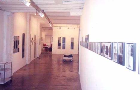 Quitterie S - artiste peintre : cv galerie Guigon